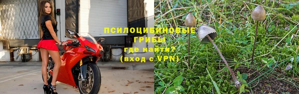 дживик Нефтекумск